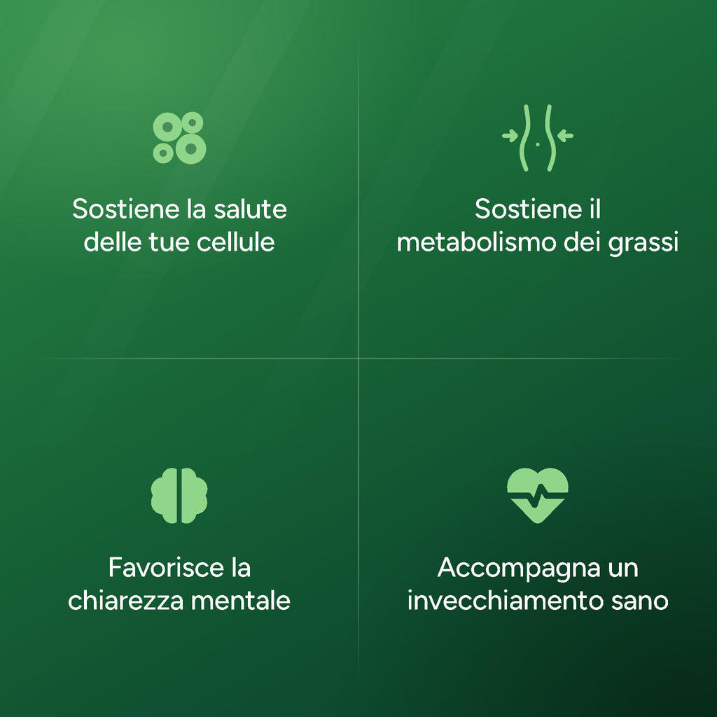 Sostiene la salute delle cellule, il metabolismo e la chiarezza mentale