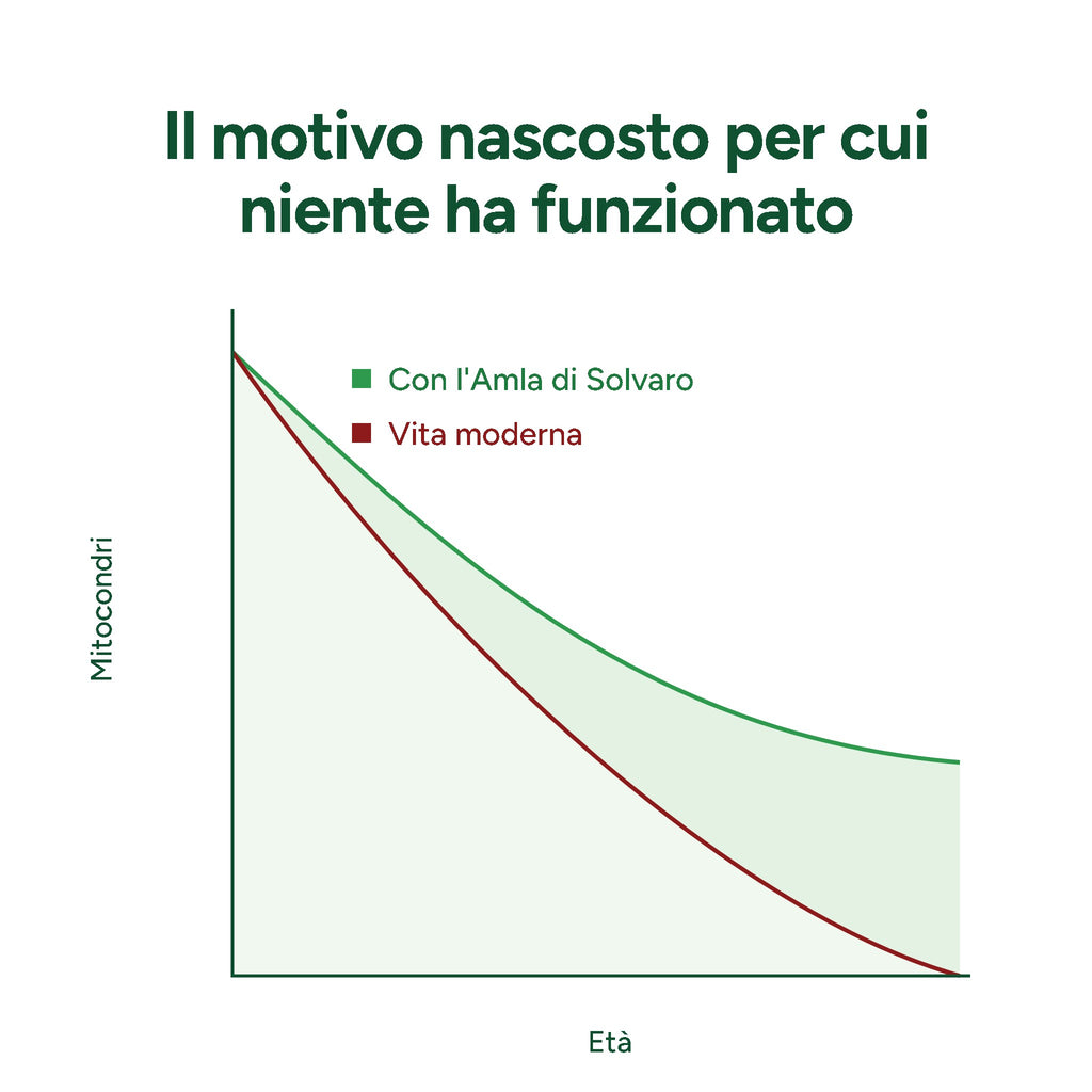 Il motivo nascosto per cui niente ha funzionato